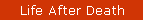Life After Death