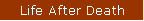 Life After Death